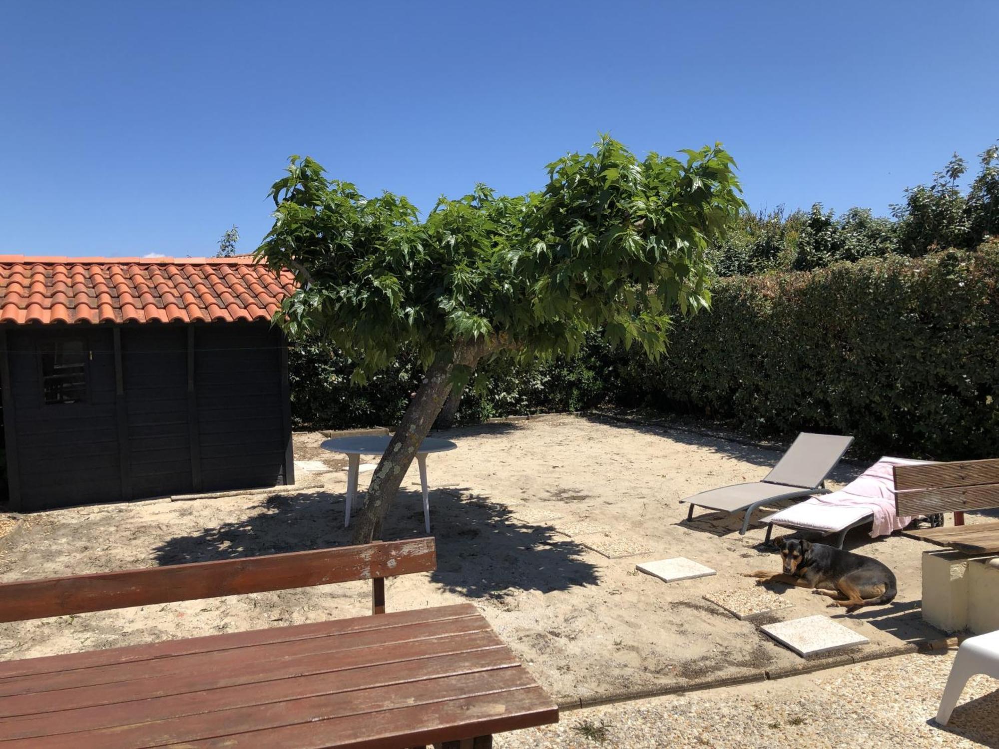 La Cabane De Biscarrosse Kültér fotó